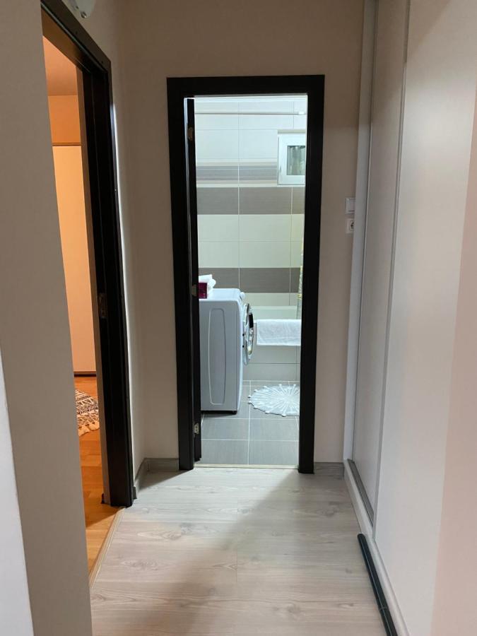 Sellada Apartament - Free Private Parking,Ac,Wi-Fi Carei Exterior foto